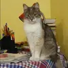 Отзыв от Татьяна Белоусова